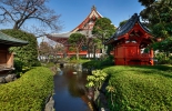 Garten der Tempelanlage Senso-ji